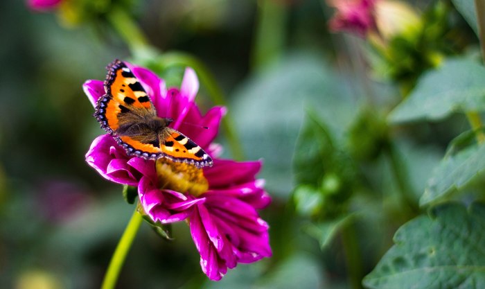 �������