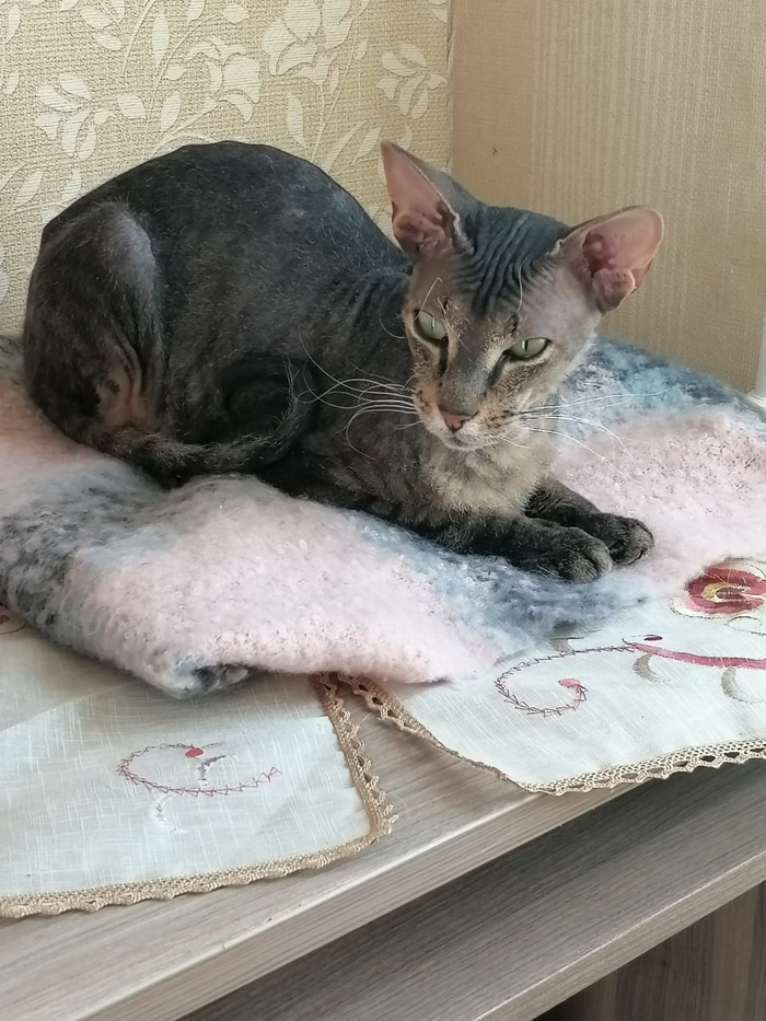     -,  ,   , , 