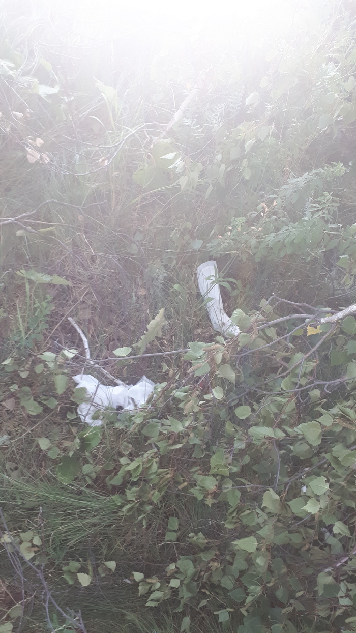 Девушки и выезд на природу