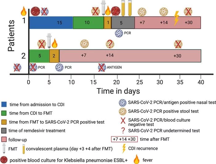 Covid feces: Covid-19 patients cured in a couple of days by transplanting “healthy” feces - Coronavirus, Scientists, Feces, Longpost