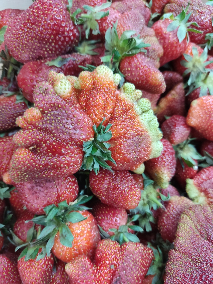 ����� ���, ����� � ��������