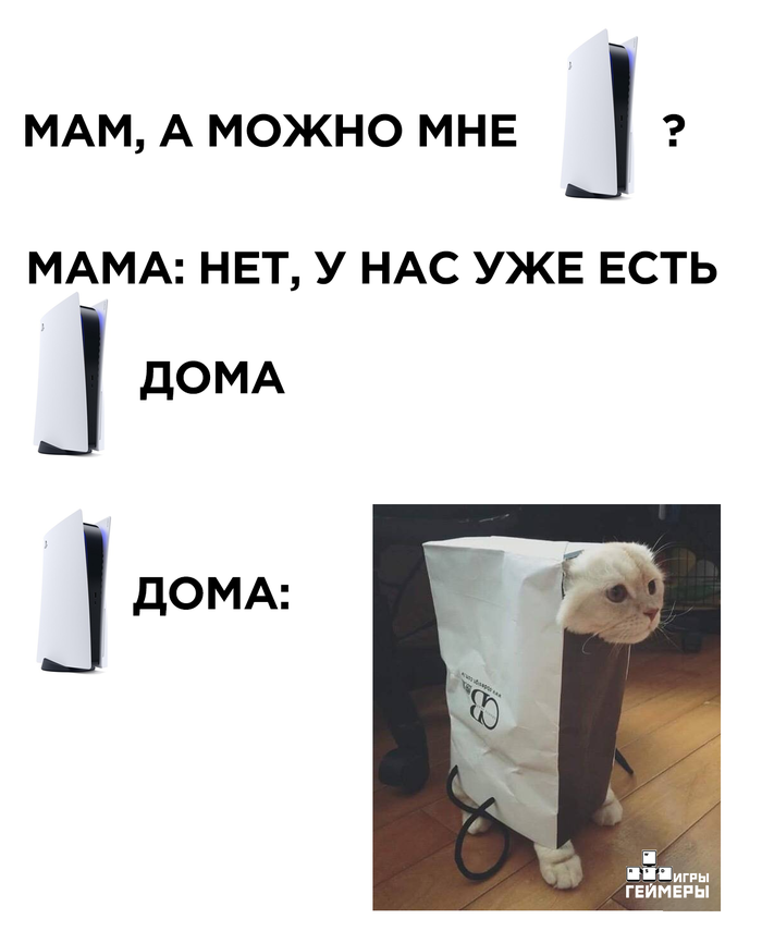 CatStation 5