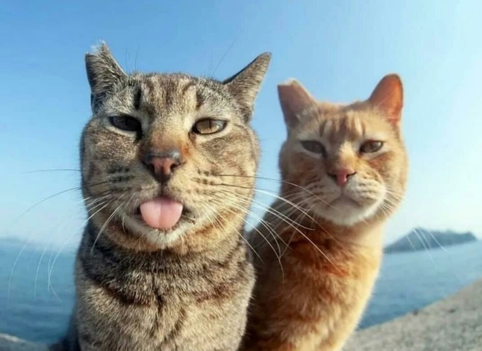 Коллеги, я в отпуске и ваш пропущенный звонок очень важен для нас