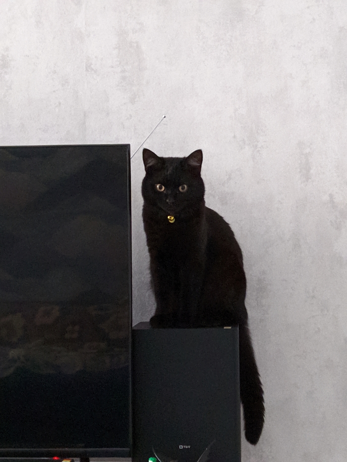 На страже...