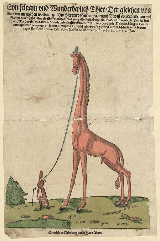 Long neck... - Picture with text, Humor, Giraffe, Engraving, Middle Ages, Suffering middle ages, Philology, An exception, , Rules, Longpost