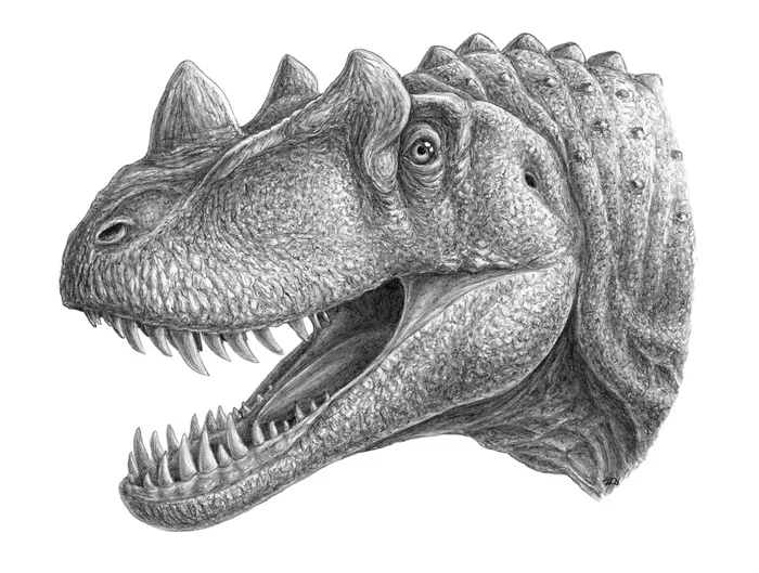 Ceratosaurus portrait - My, Dinosaurs, Paleontology, Drawing, Pencil drawing, Paleoart