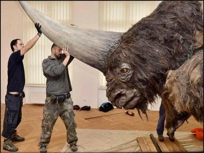 Siberian unicorn - a giant rhinoceros that shared this world with people about 40 thousand years ago - The photo, Unicorn, Rhinoceros, Giants, Interesting, Repeat