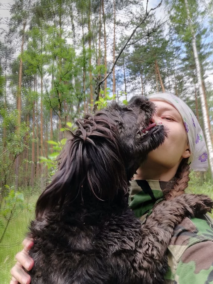 My beloved went for strawberries - My, Wife, Dog, Humor, Nature, Video, Longpost