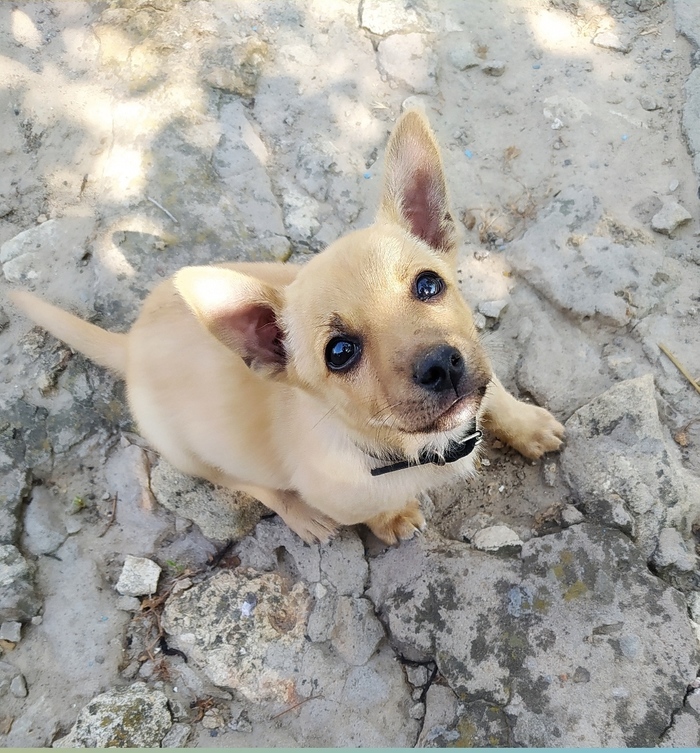 � ������ �����