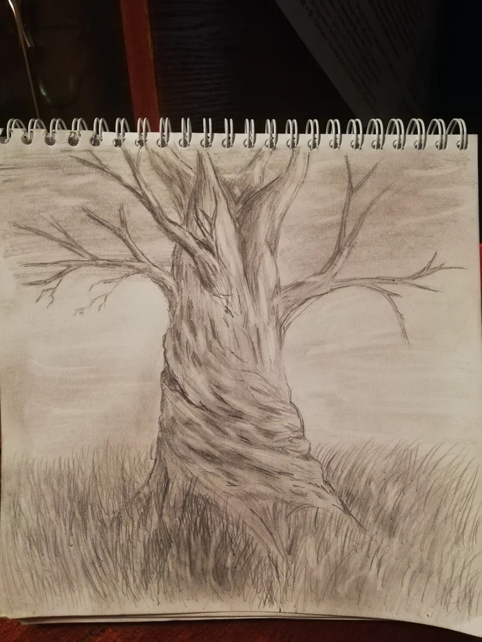 Tree - My, Sketch, Pencil drawing, Drawing, Creation, Rukozhop