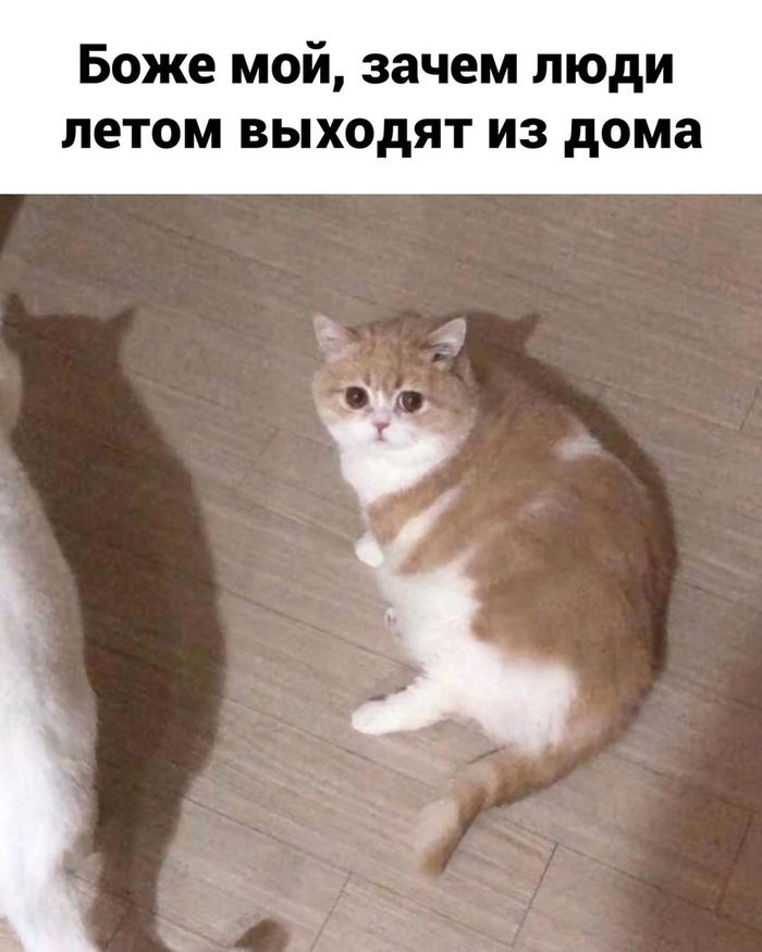      , , , , , , 