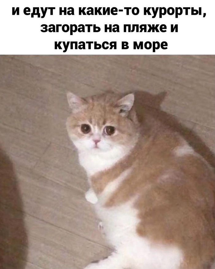      , , , , , , 