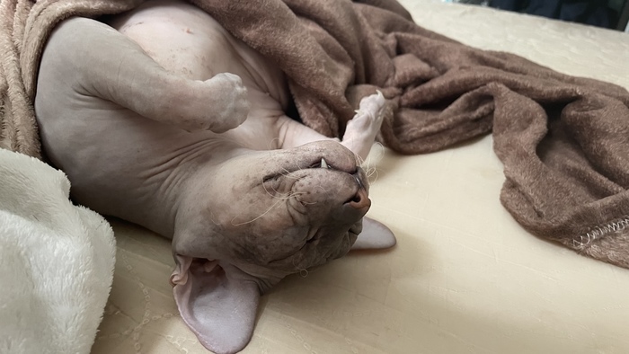 Кайфушечно