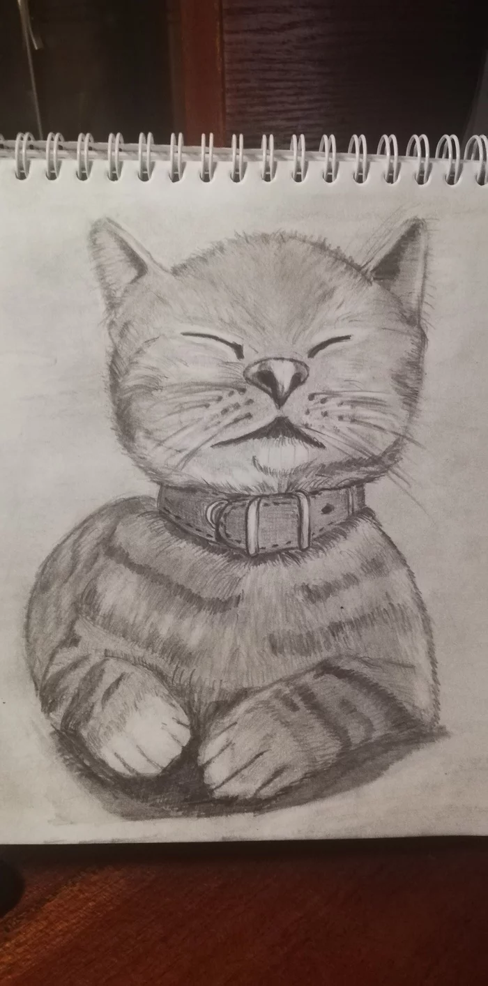 Kitten - My, cat, Drawing, Pencil drawing, Creation