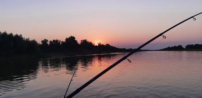 Dawn on Bushma - Fishing, Fishermen, dawn, Nature, Carp, River, Longpost