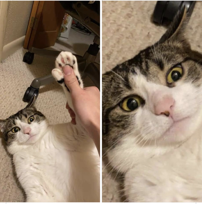     , , 
