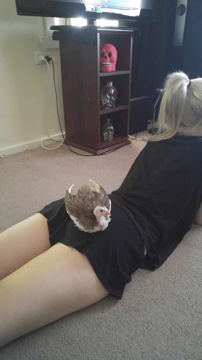 Красный череп