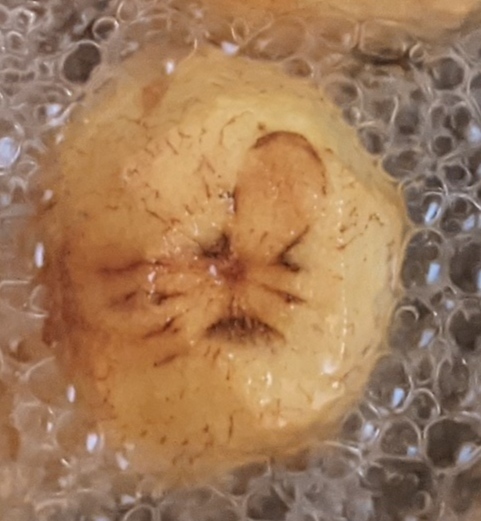     ,    ,  , , , , 