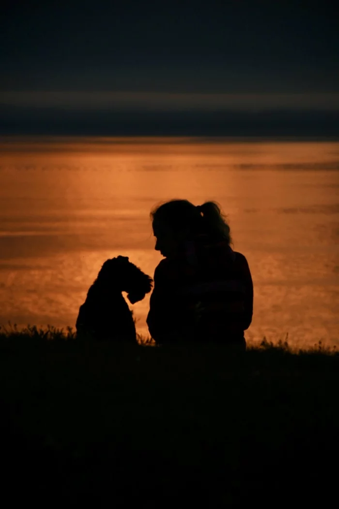 Dog, her man and Olkhon sunset - My, Baikal, Sunset, Dog, Olkhon, Longpost