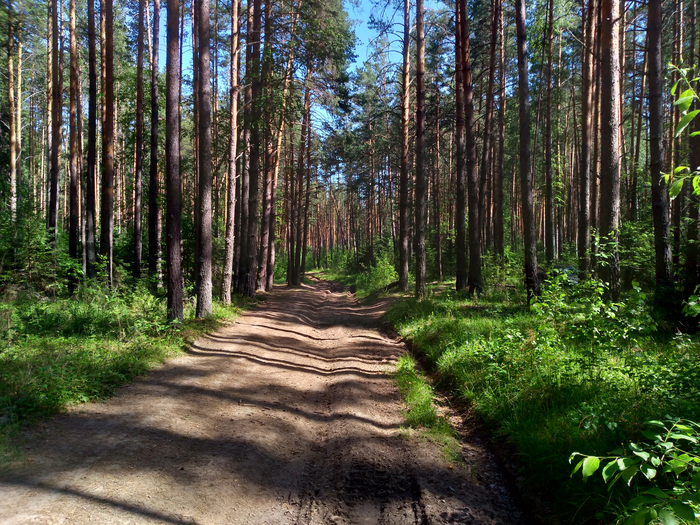 Шайтан-камень на реке Реж: любуемся красивыми видами, лазим по скалам, гуляем по лесу и переходим реку вброд. Все за один день! Туризм, Урал, Свердловская область, Шайтан, Камень, Поход, Палатка, Реж, Екатеринбург, Фотография, Природа, Река, Длиннопост