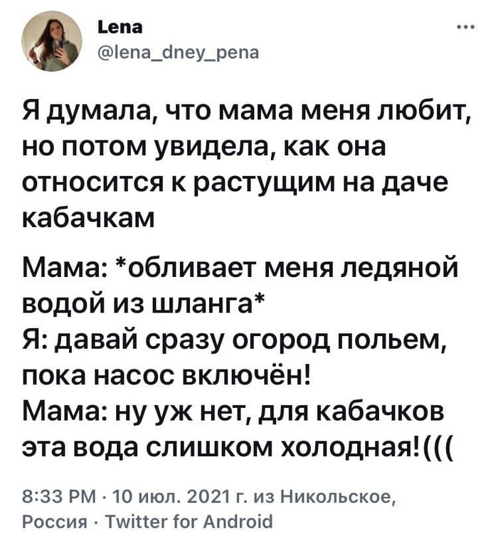 Кабачки победили
