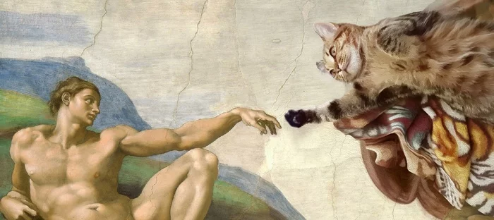 Stepan moved into the Renaissance... - My, cat, Modern Art, Memes