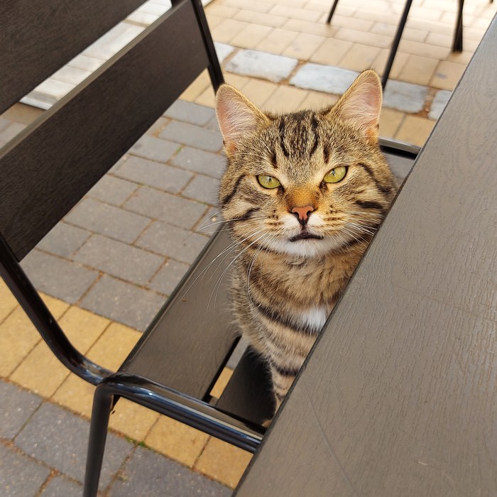 �� ���� ���������