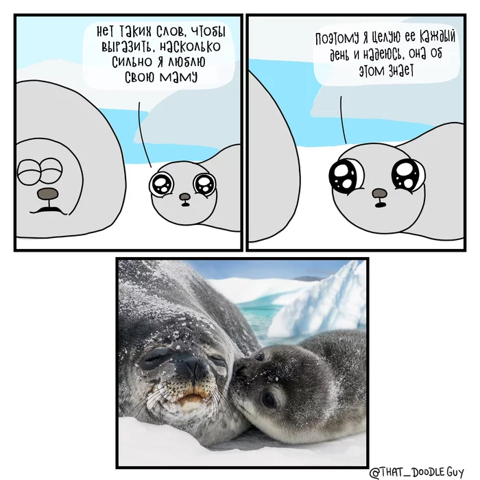 Smack - Comics, Seal, That_doodleguy, Mum, Kiss