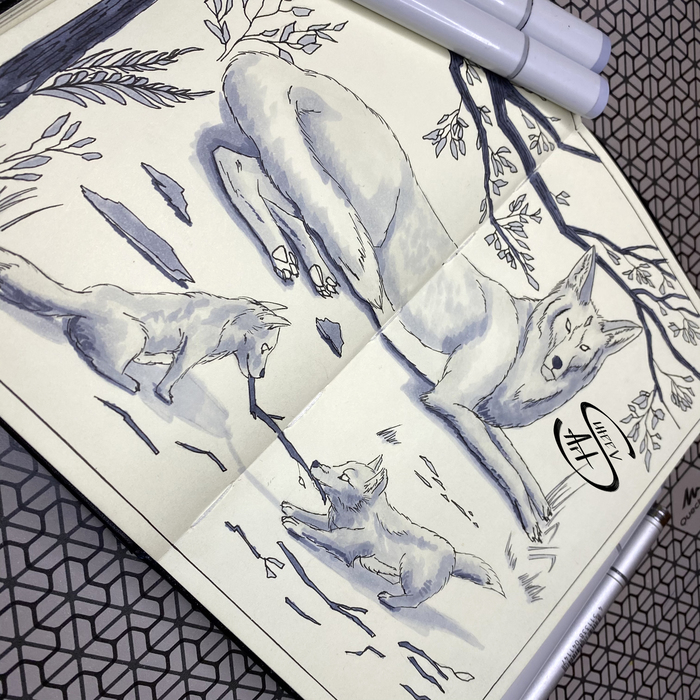   (   5) ,  , , , , , Copic