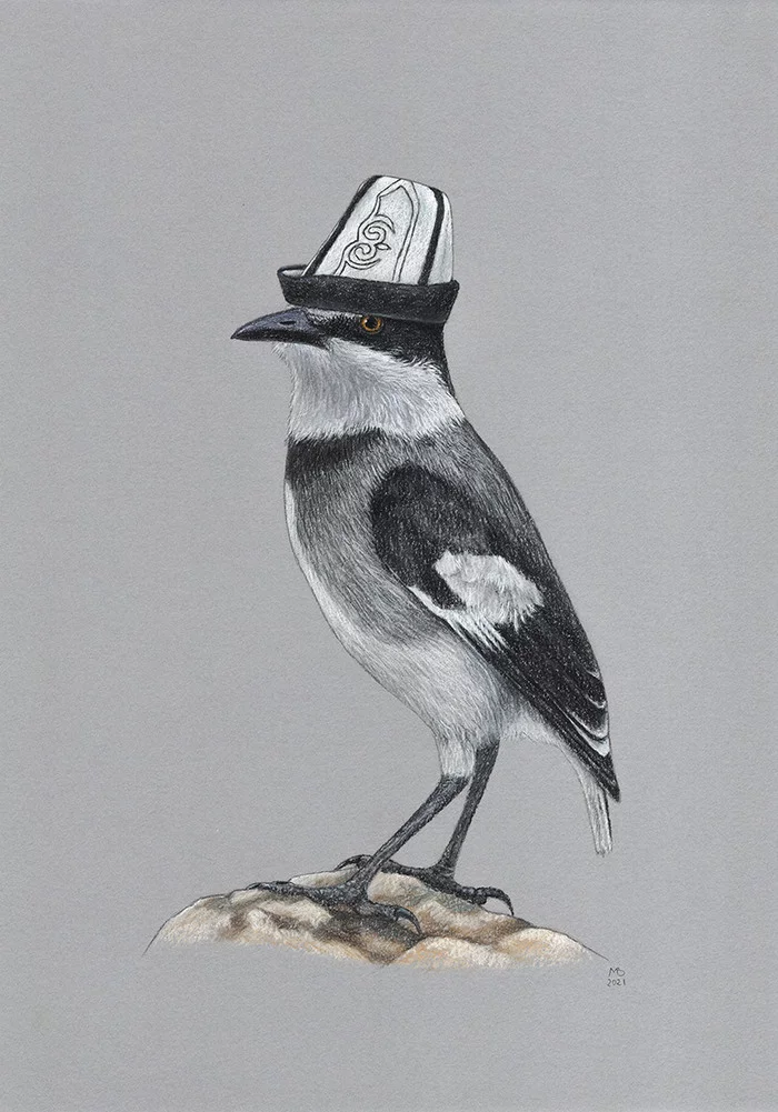 Thrush Shrike - My, Drawing, Birds, Pastel, Birds in hats, Shrike, Animalistics, 