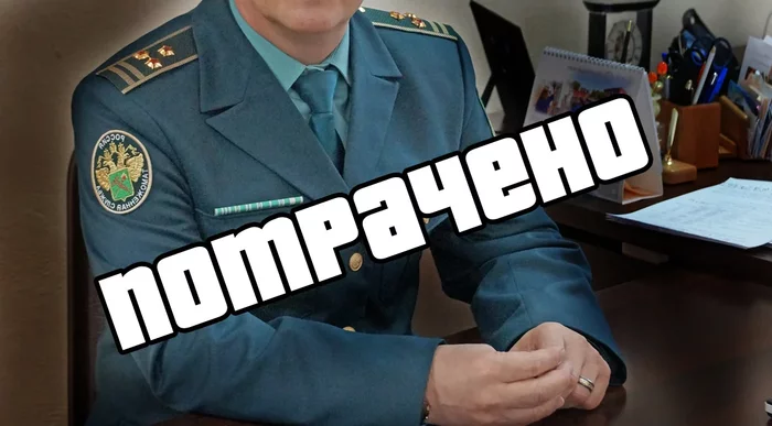 Why did the customs ensign pretend to be a colonel in Belarus? - My, Customs, Ensign, Criminal case, Fraud, Republic of Belarus, Colonel, Longpost, Politics