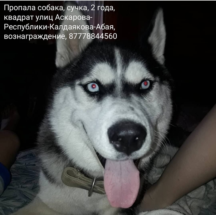 Можно ли поднять машину на дыбы. Смотреть фото Можно ли поднять машину на дыбы. Смотреть картинку Можно ли поднять машину на дыбы. Картинка про Можно ли поднять машину на дыбы. Фото Можно ли поднять машину на дыбы