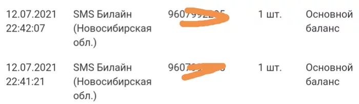 +960 vs +7960 - Beeline, Vympel-Communications, Abroad, Maldives, SMS, Confusion, Error, Shortcomings, , Flaws