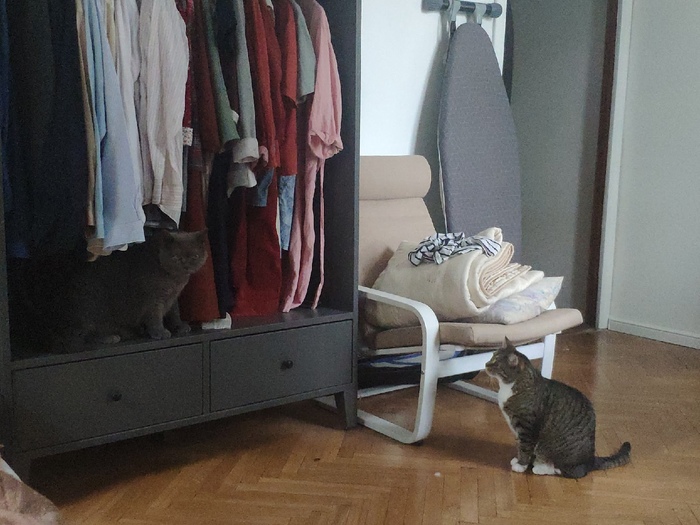  ,  ,  , 