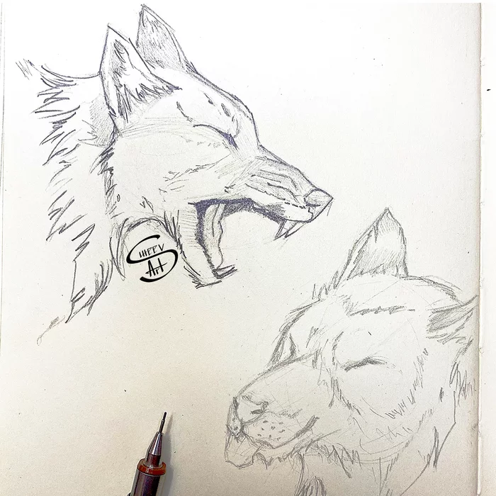 Wolves (short sketch) - My, Wolf, Art, Sketch, Scribble, Drawing, Sketch, Vladimir Suteev, Illustrations