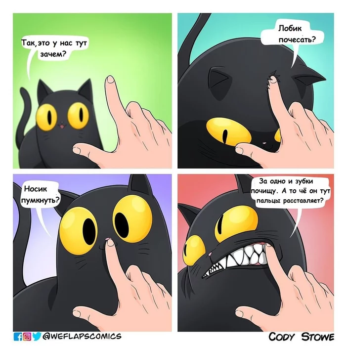 Why do we have this? - Weflapscomics, Cody stone stowe, cat, Comics