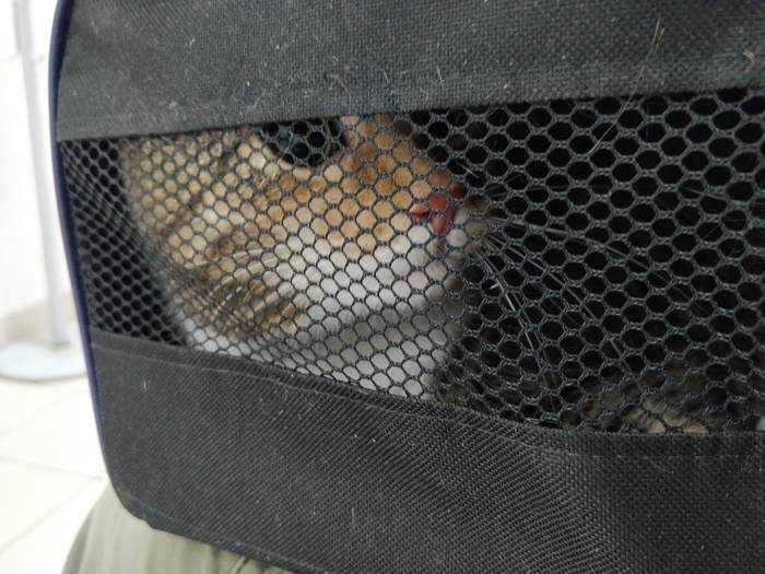 � �������� ����������...