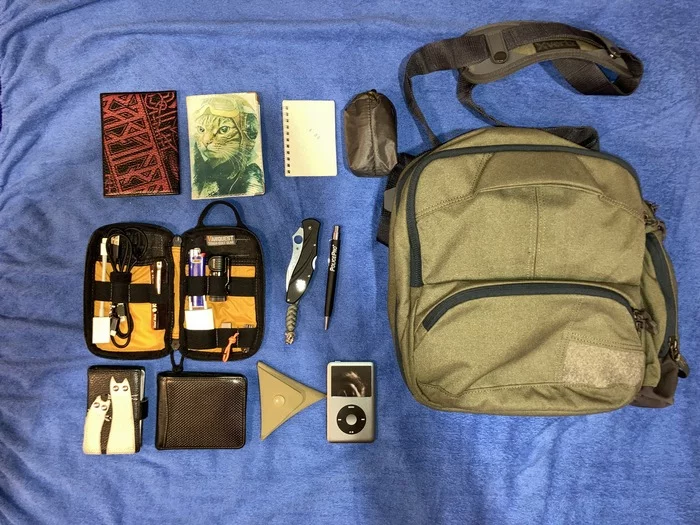 Reply to the post What do boys carry in their purses? - My, Contents, Backpack, cat, Reply to post