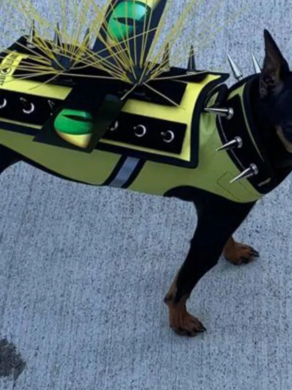 Как это выглядит? Интересное, Познавательно, Мир, Картинки, Длиннопост, Подборка