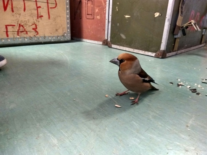 ����� �� ���� ������� � ��������� �������� ������