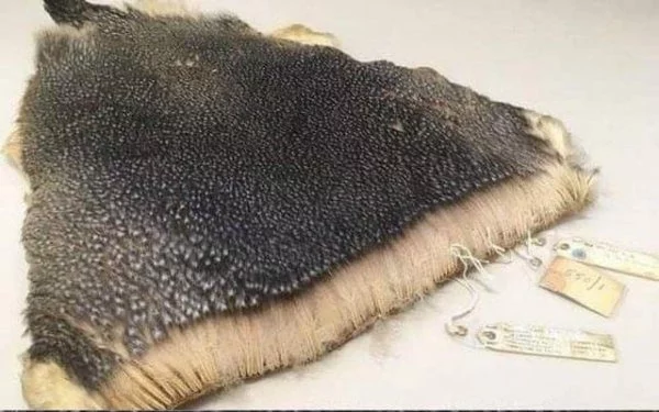 Как это выглядит? Интересное, Познавательно, Мир, Картинки, Длиннопост, Подборка