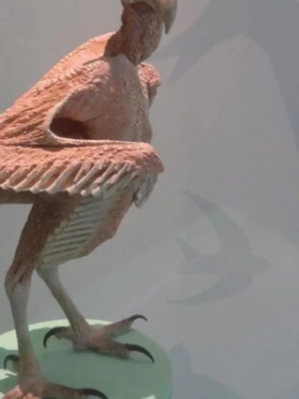 Как это выглядит? Интересное, Познавательно, Мир, Картинки, Длиннопост, Подборка