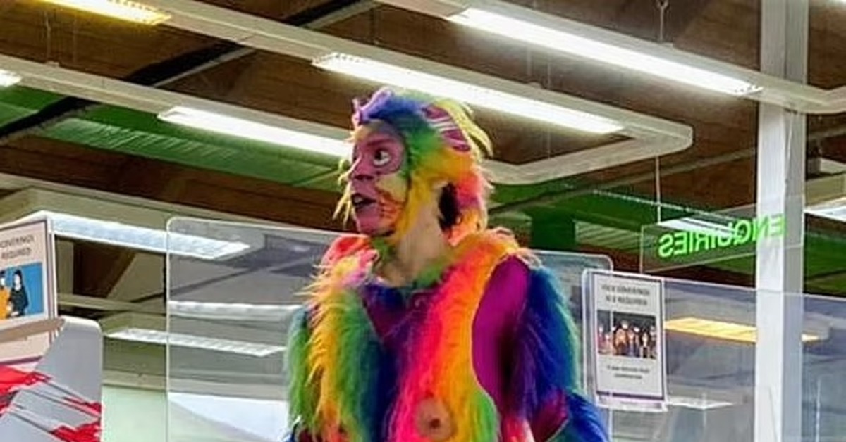 An actor dressed as a rainbow monkey with a large artificial penis came to the library for an event for children in support of reading. - Costume, Actors and actresses, Scandal, Library, Penis, Longpost, Negative