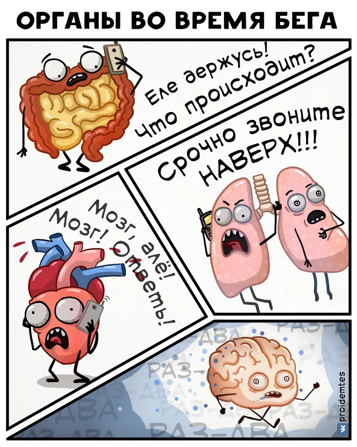 1626260000126072677.webp