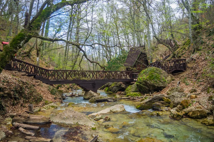 Весенний лес и дорожка к водопаду Джур-Джур - Моё, Фотография, Крым, Водопад Джур-Джур, Джур-Джур, Весна, Туризм, Путешествия, Лес, Длиннопост