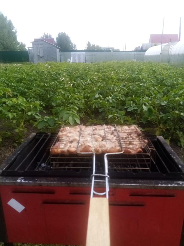 ������ ��������