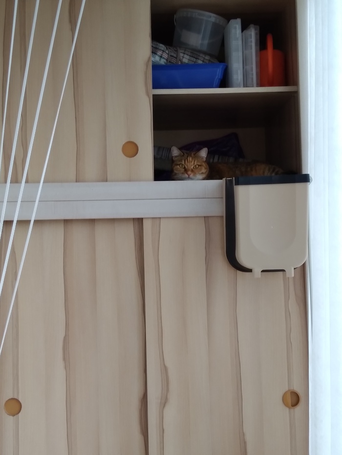 Угнездилась...)