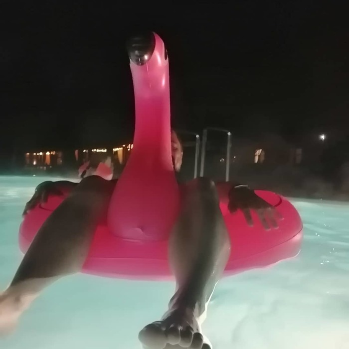 Flamingo - My, Flamingo, Swimming pool, 49 and 5