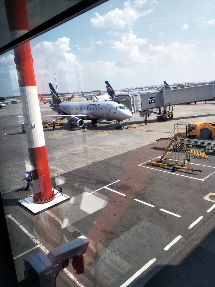 Переезд в Россию. Часть 4. Знакомство с работой и... Путешествие из Москвы в Москву Сочи, Москва, Ереван, Краснодар, Полет, Длиннопост