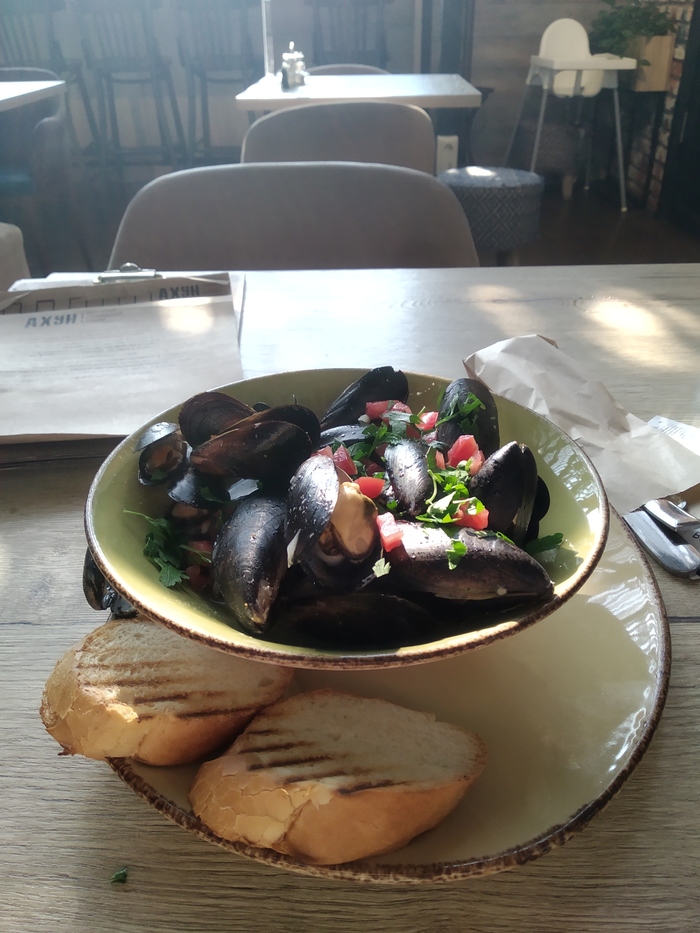 Переезд в Россию. Часть 4. Знакомство с работой и... Путешествие из Москвы в Москву Сочи, Москва, Ереван, Краснодар, Полет, Длиннопост